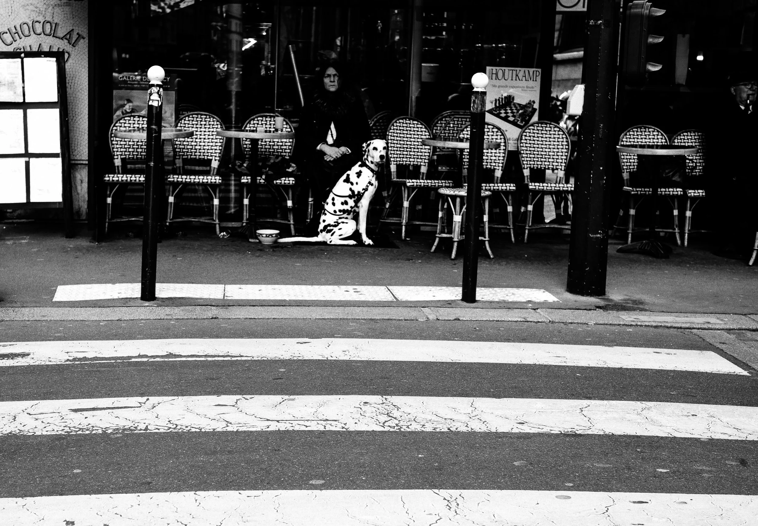 Parisian dog- mini.jpg
