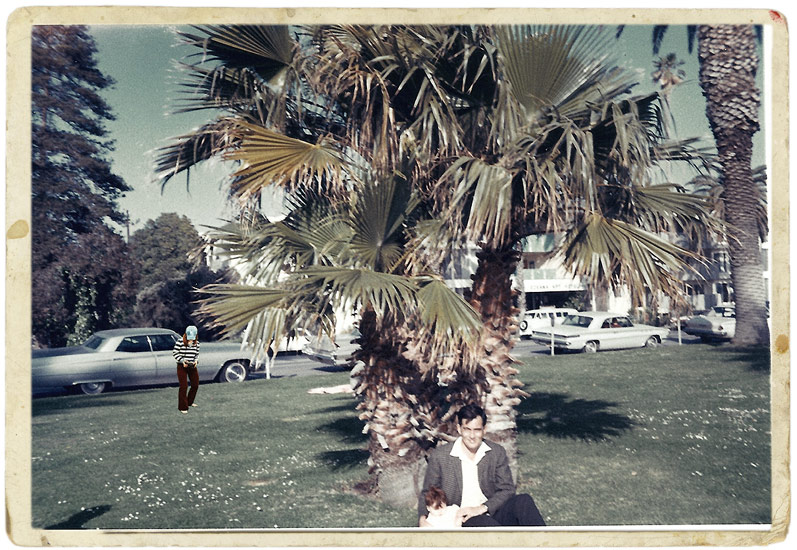 Saudade: Kodak Snaps - Palm Tree