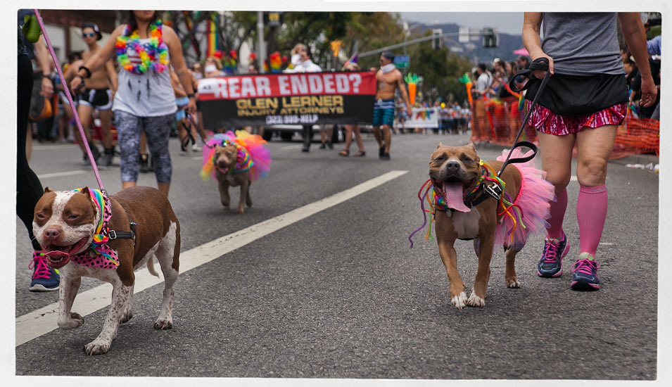 LA Pride Festival