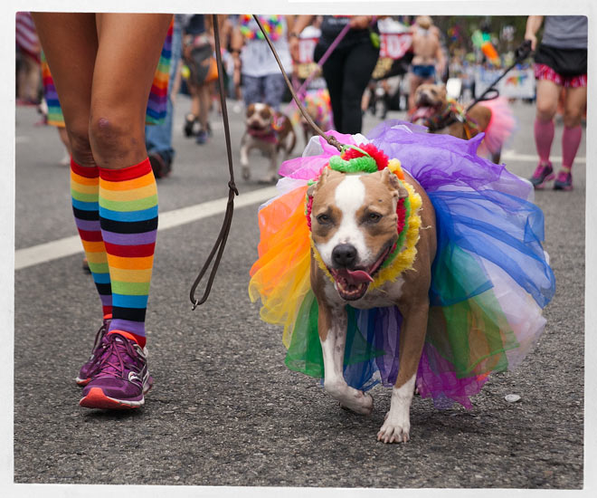 LA Pride Festival