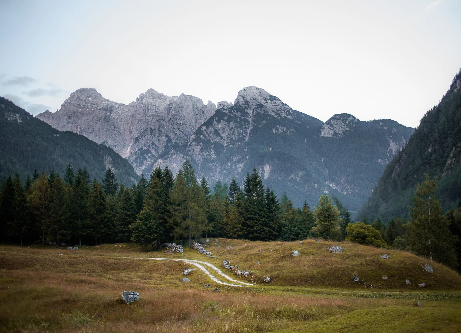 lumeria-porocna-fotografija-35.jpg