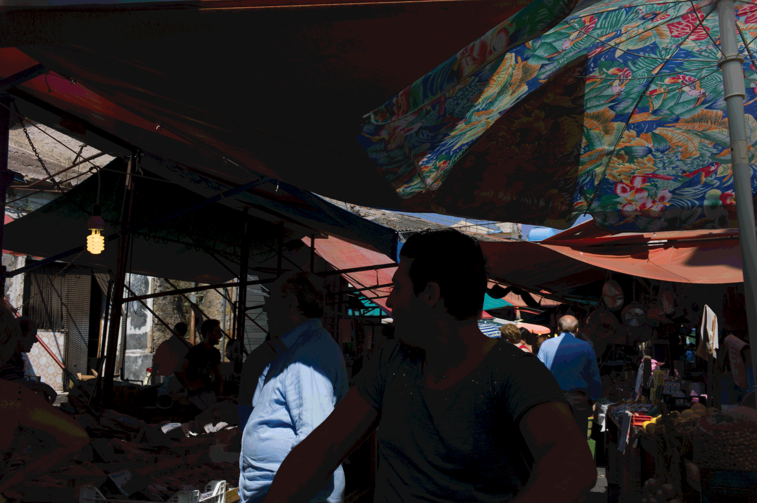 L1004462-copy.gif