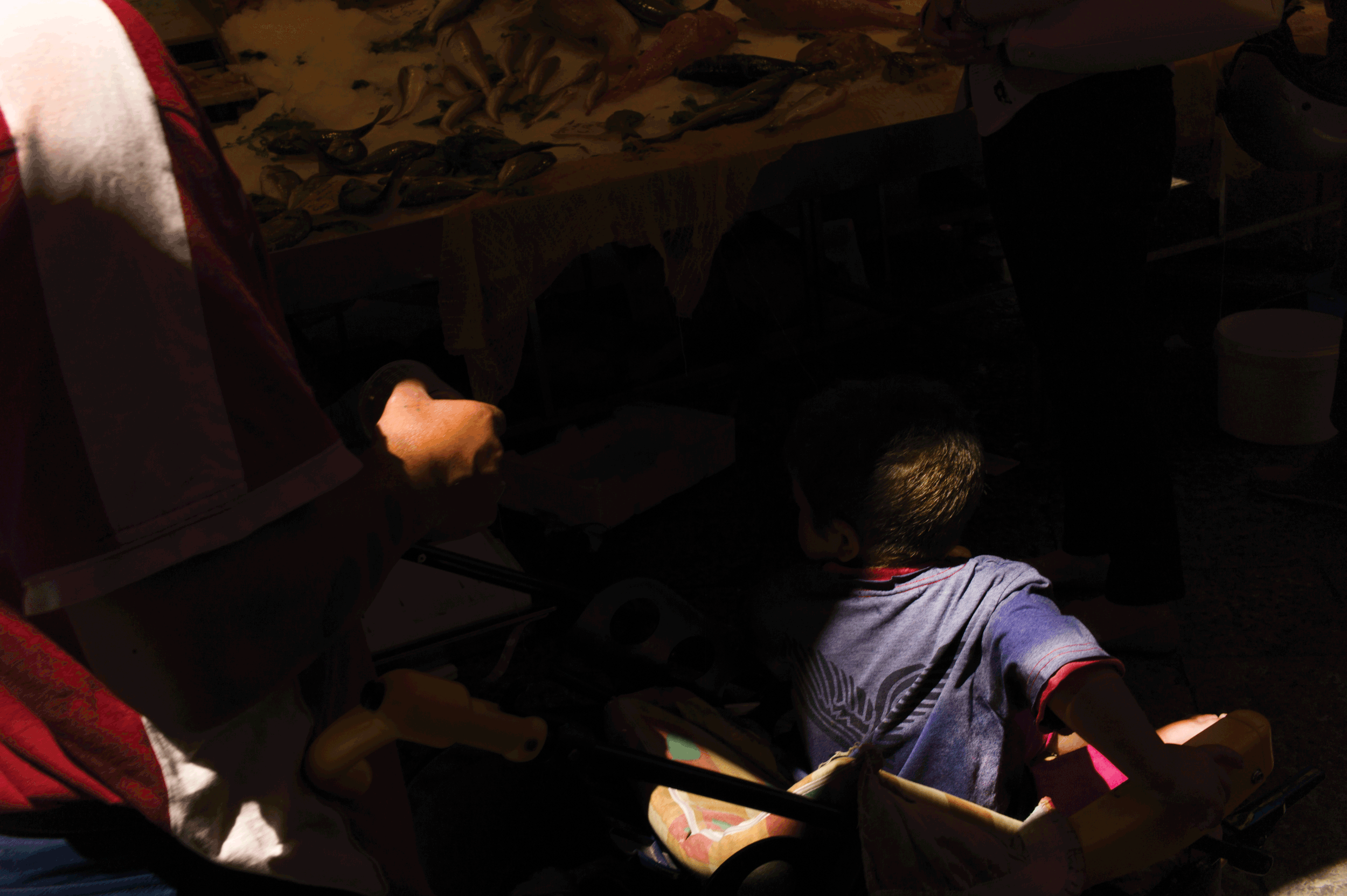 L1005772-copy.gif