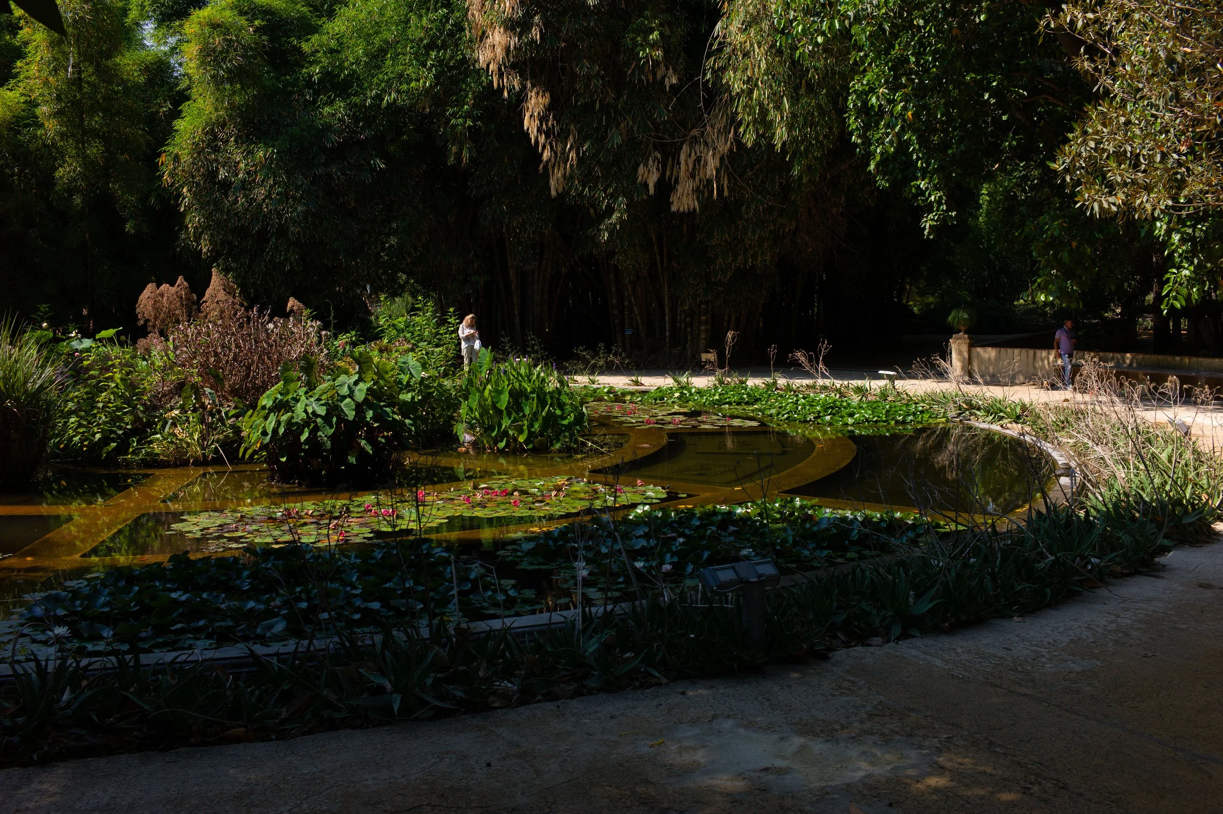 L1002030.jpg