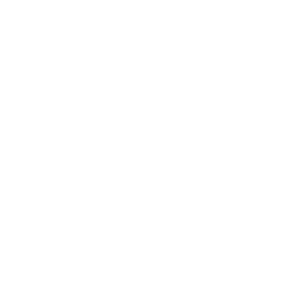 noun_strategy_694985_FFFFFF.png