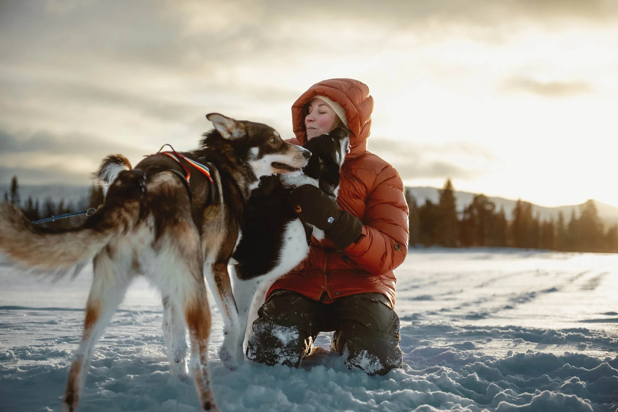 LUNDHAGS - Kampanjplåtning 2025