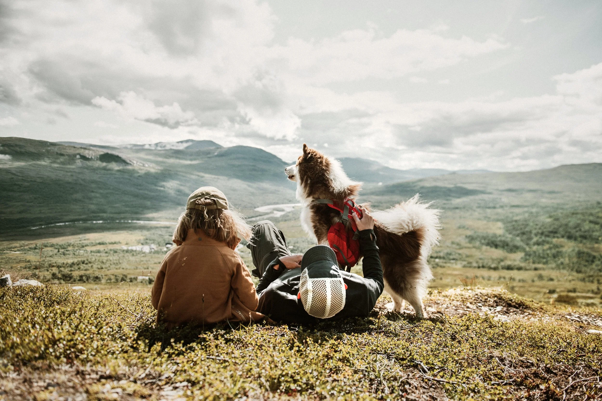 CALAZO FÖRLAG - VANDRA MED HUND