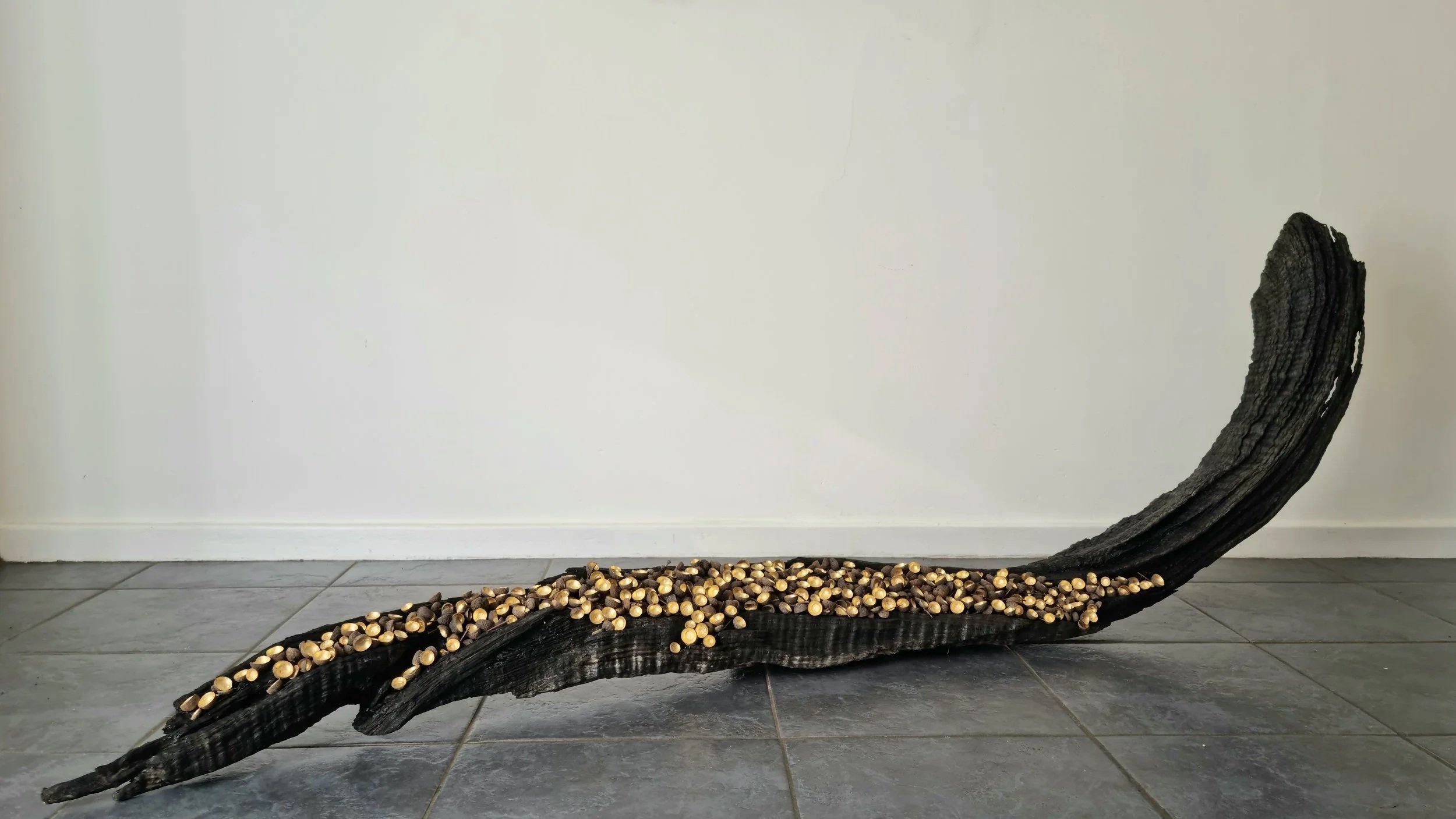 L2. Anna Pike - Aeterna Quercus