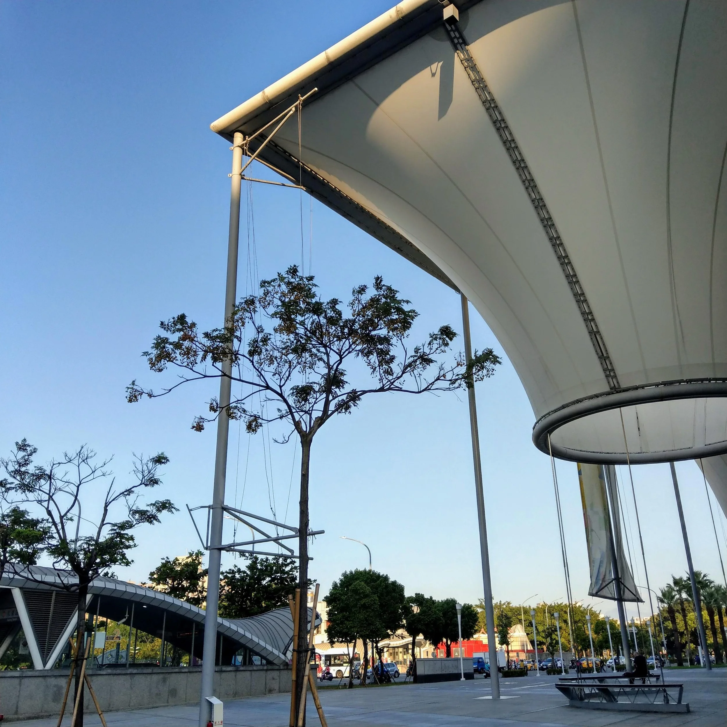 IMAG5597.jpg
