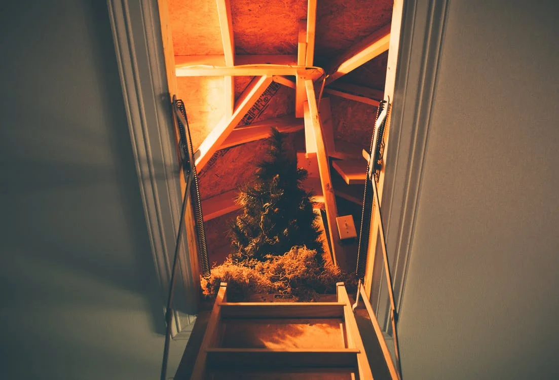 Can I Convert My Loft? 