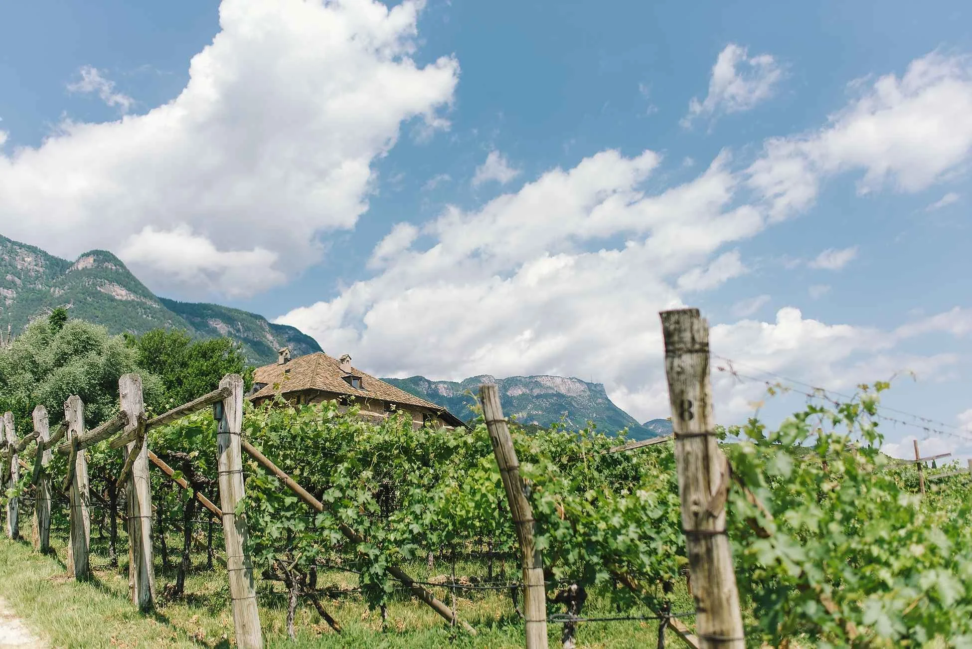 seehofkeller kalten hochzeit wein