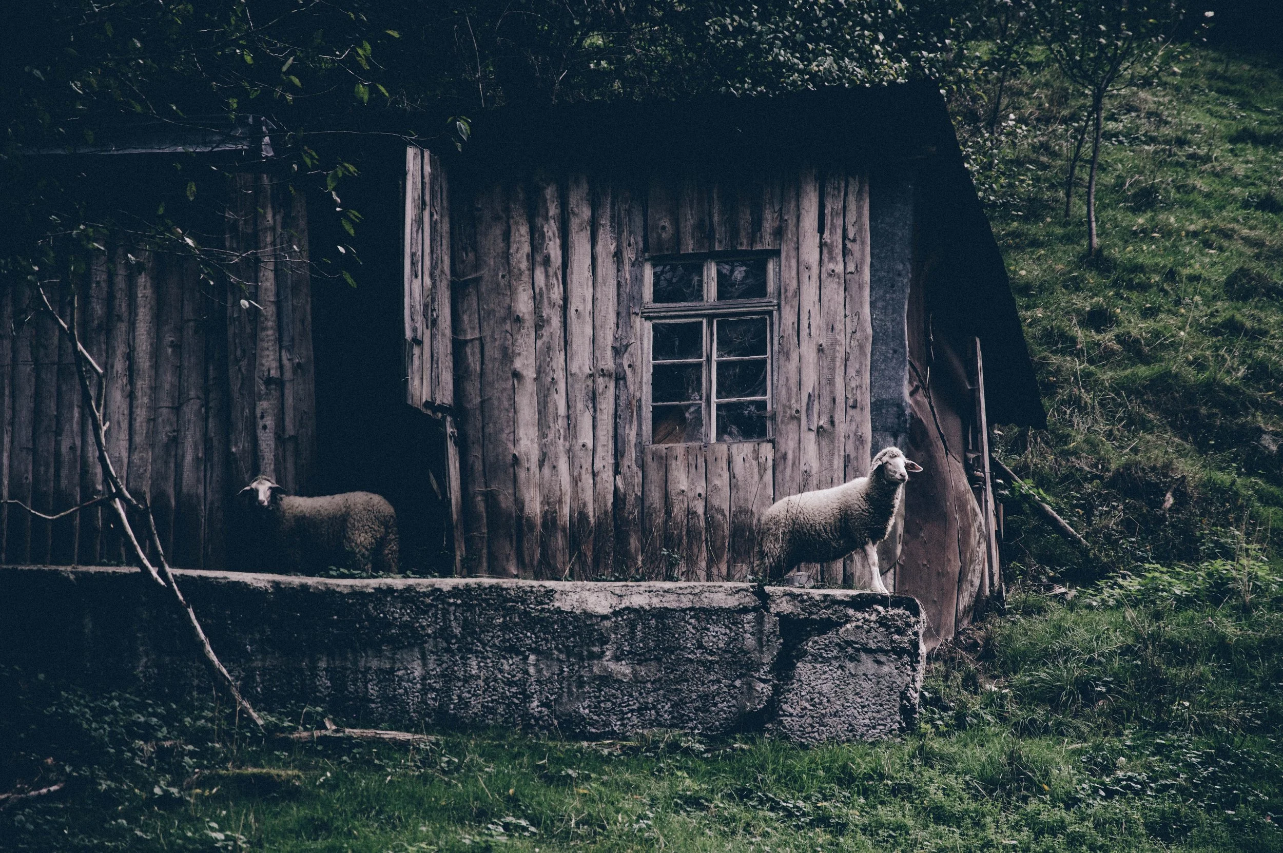 glenn-carstens-peters-105938-unsplash.jpg