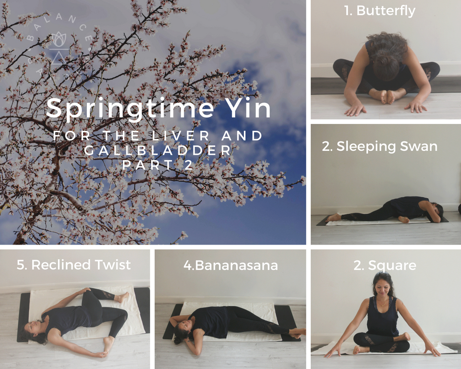 Yin Yoga for EVERY Body: How to Support Your Yin Poses with Props: Blei,  Sue: 9781728652375: Amazon.com: Books
