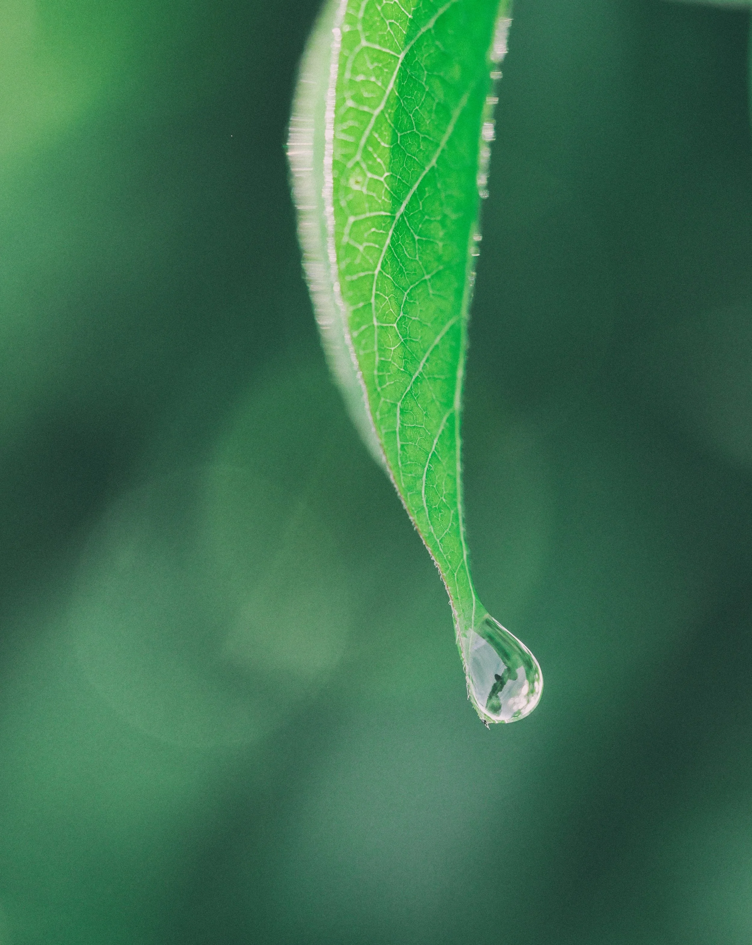 Photo by Aaron Burdern via Unsplash