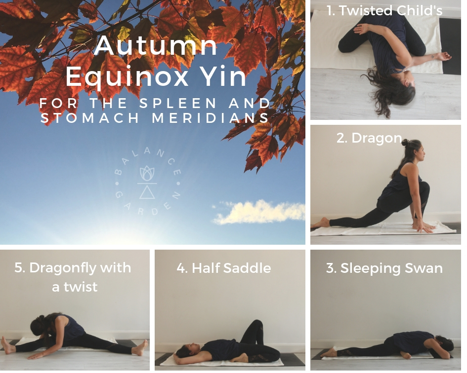 Yin Yoga Postures bundle By Sunnyfields | TheHungryJPEG