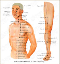 stomach Meridian