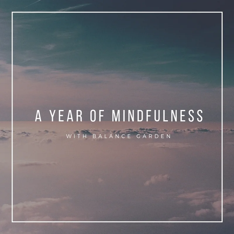 a year of mindfulness.jpg