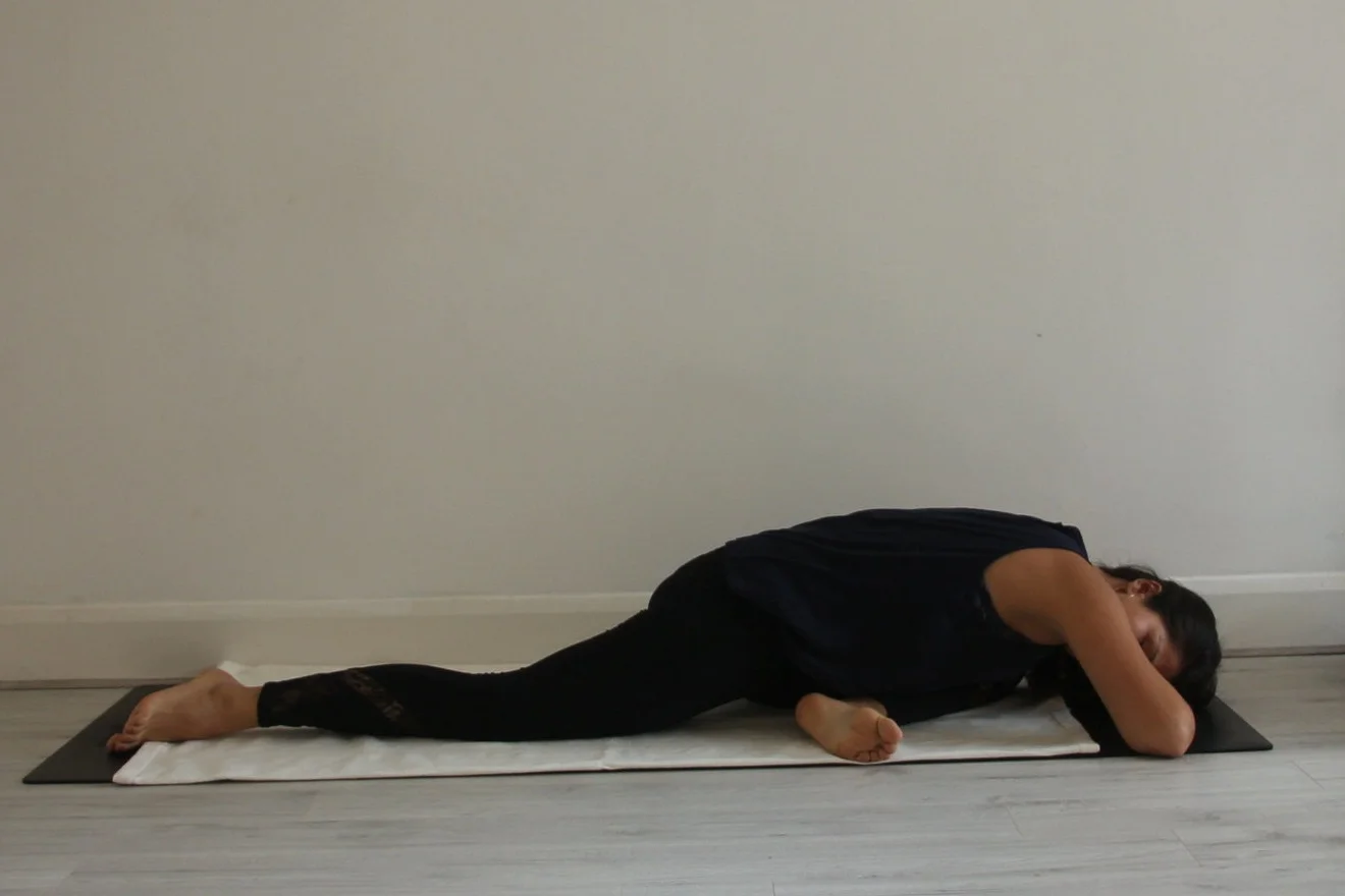 Sleeping Swan.jpg