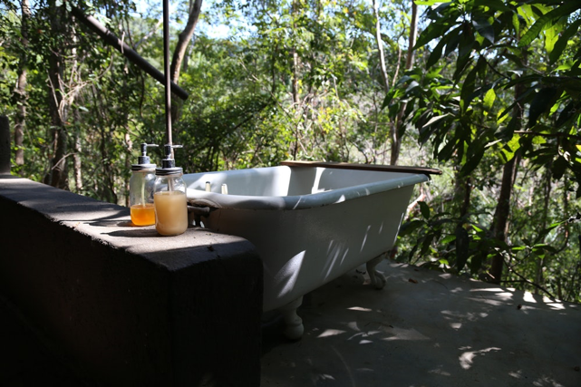 Nature Bathing.jpg