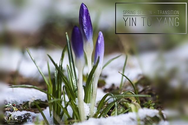 Live Simple - Seasons

Spring is a season of transition from yin to yang 
#yyc #acupuncture #tcm #health #healthy #calgary #calgaryalberta #wellness #balance #curiocitycalgary #yycnow #calgarybuzz #holisticnutrition #apothecary