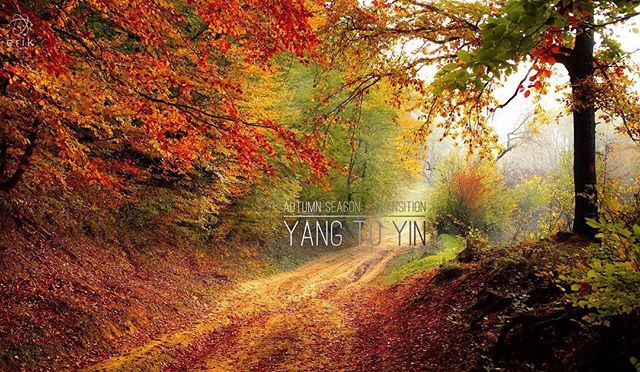 Live Simple - Seasons

Autumn is a season of transition from yang to yin

Happy Chinese New Year!

#yyc #acupuncture #tcm #health #healthy #calgary #calgaryalberta #wellness #balance #curiocitycalgary #yycnow #calgarybuzz #holisticnutrition #apotheca