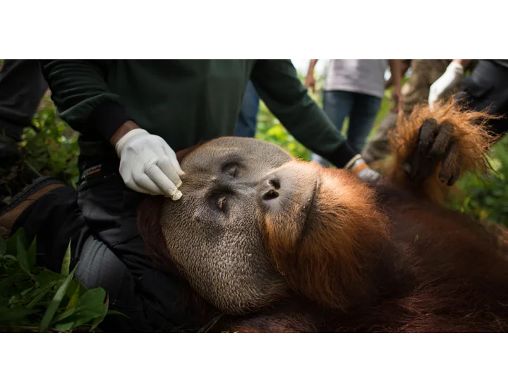 OIC rescue photos and EZ Images .022.jpeg