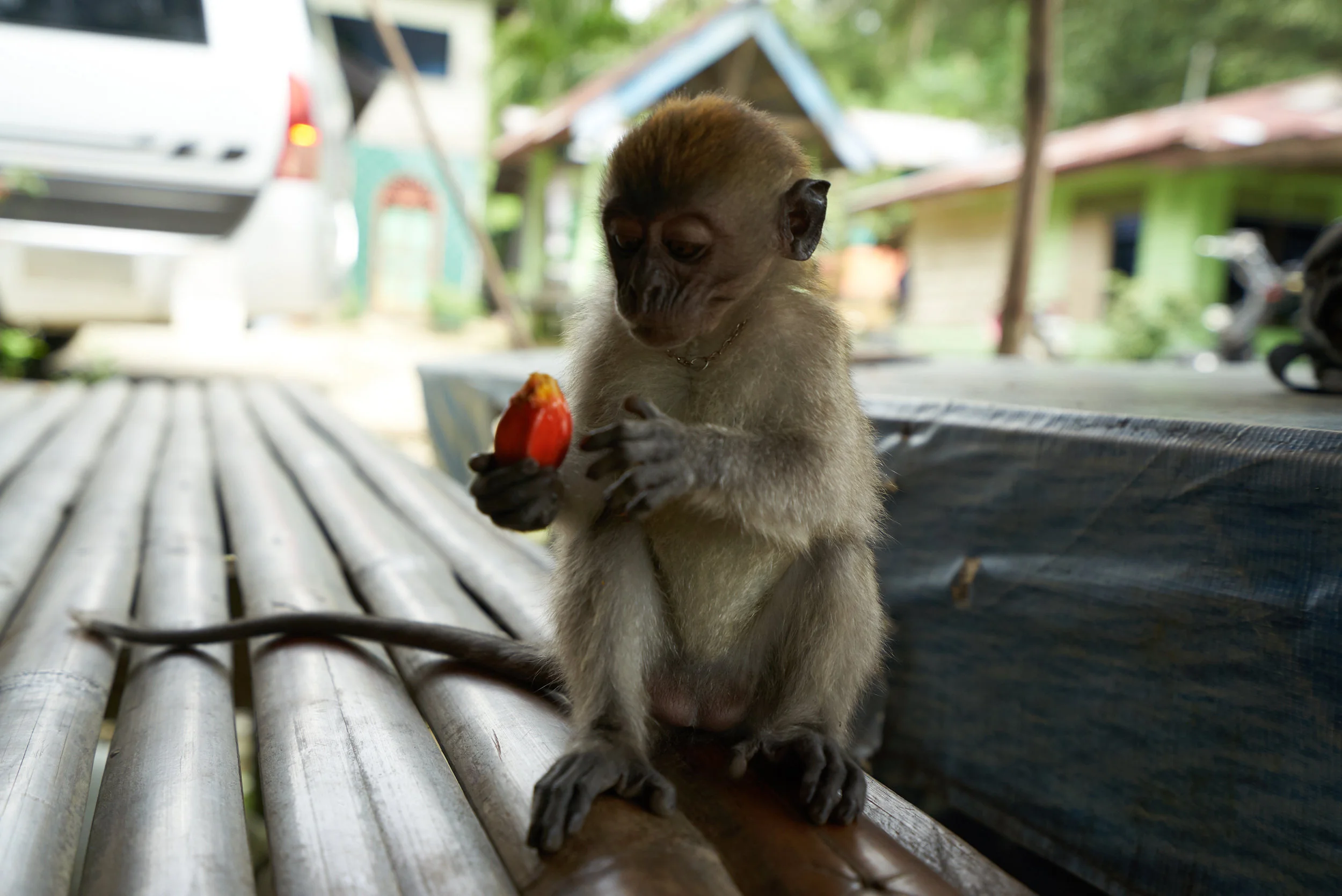 S.O.S BTS_SKAI_014.JPG