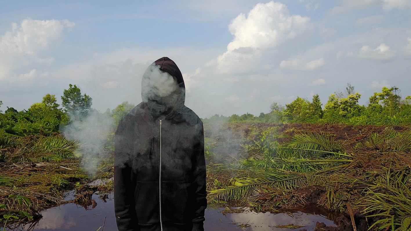 Mark Jenkins Peatland Riau Photo Credit Ernest Zacharevic .JPG