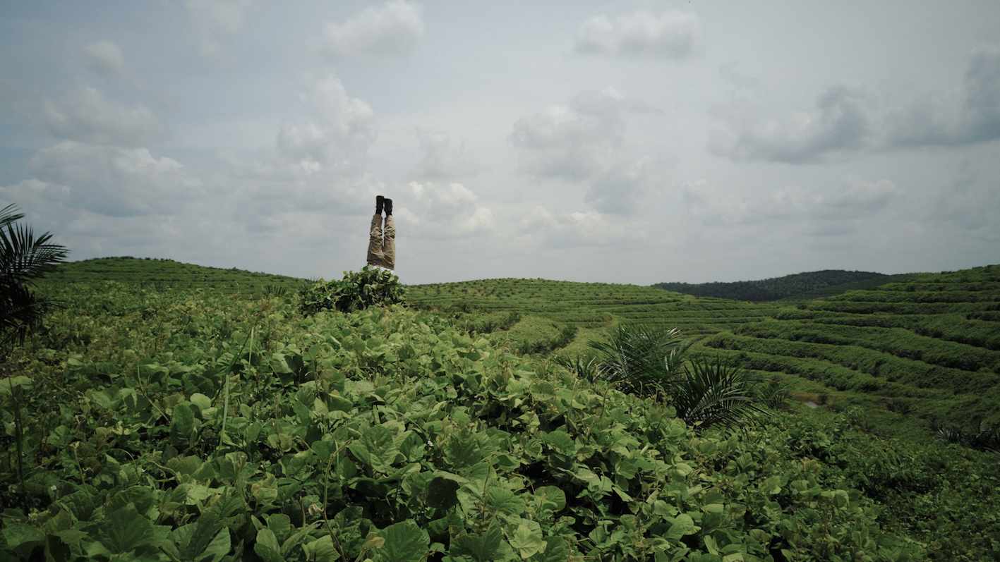 Mark Jenkins Plantation North Sumatra Phtoo Credit Tan Wei Ming.jpg