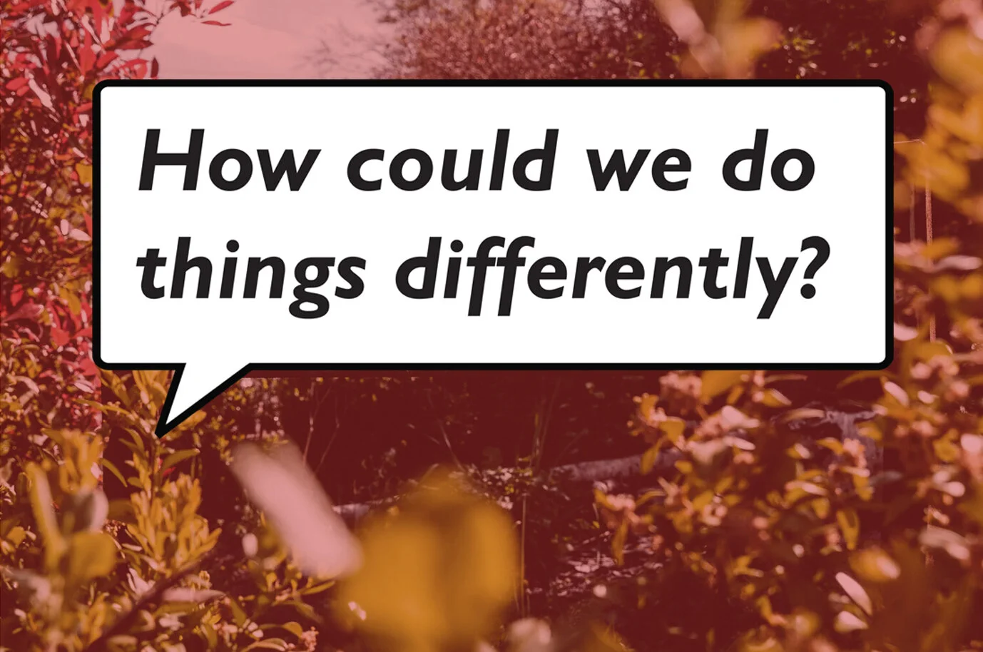 Original image credit - Matt Seymour