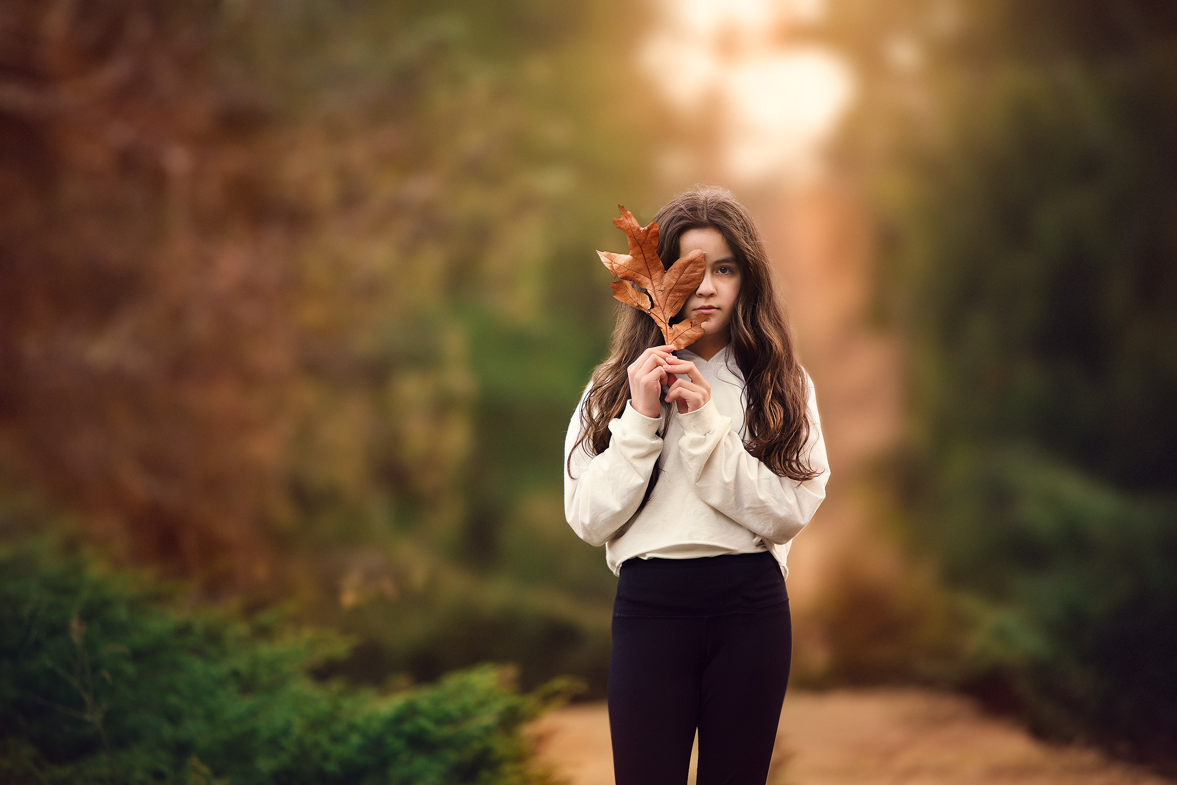 bella leaf blur.png