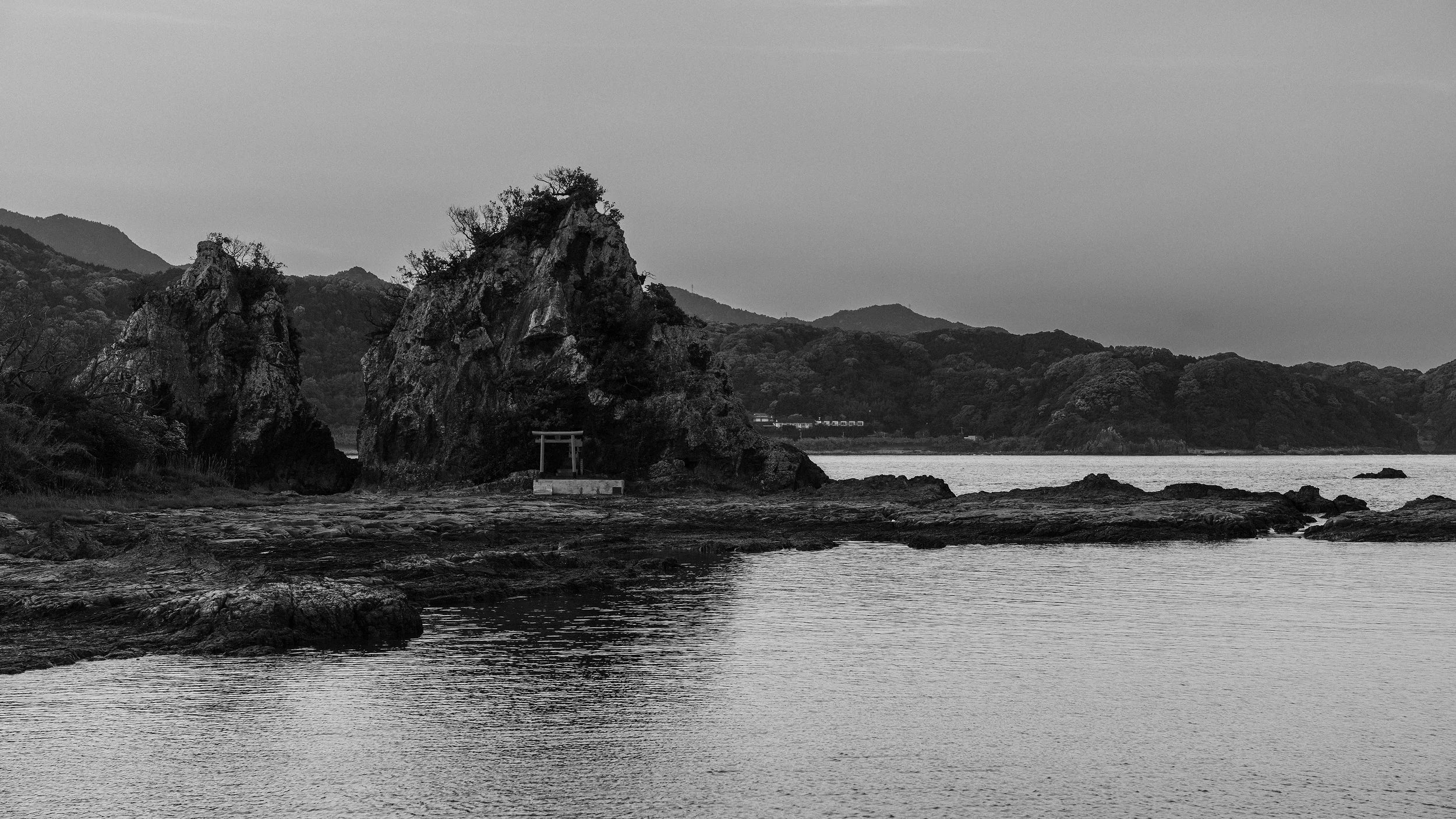 DSC06038.jpg