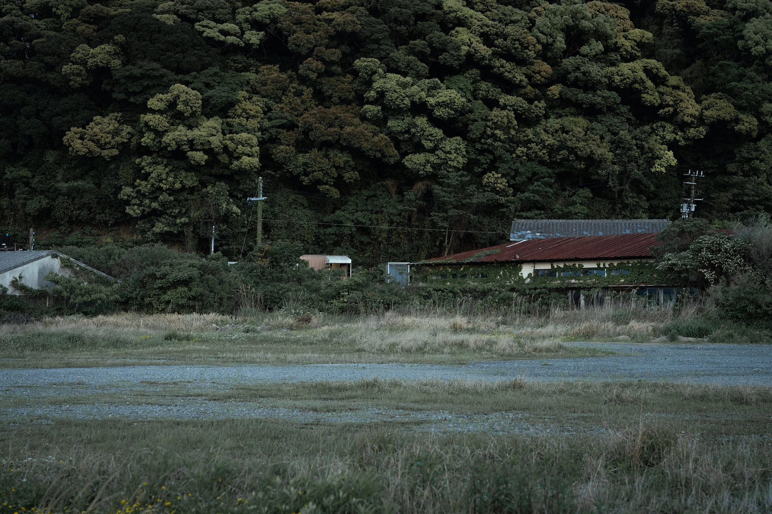 DSC06044.jpg
