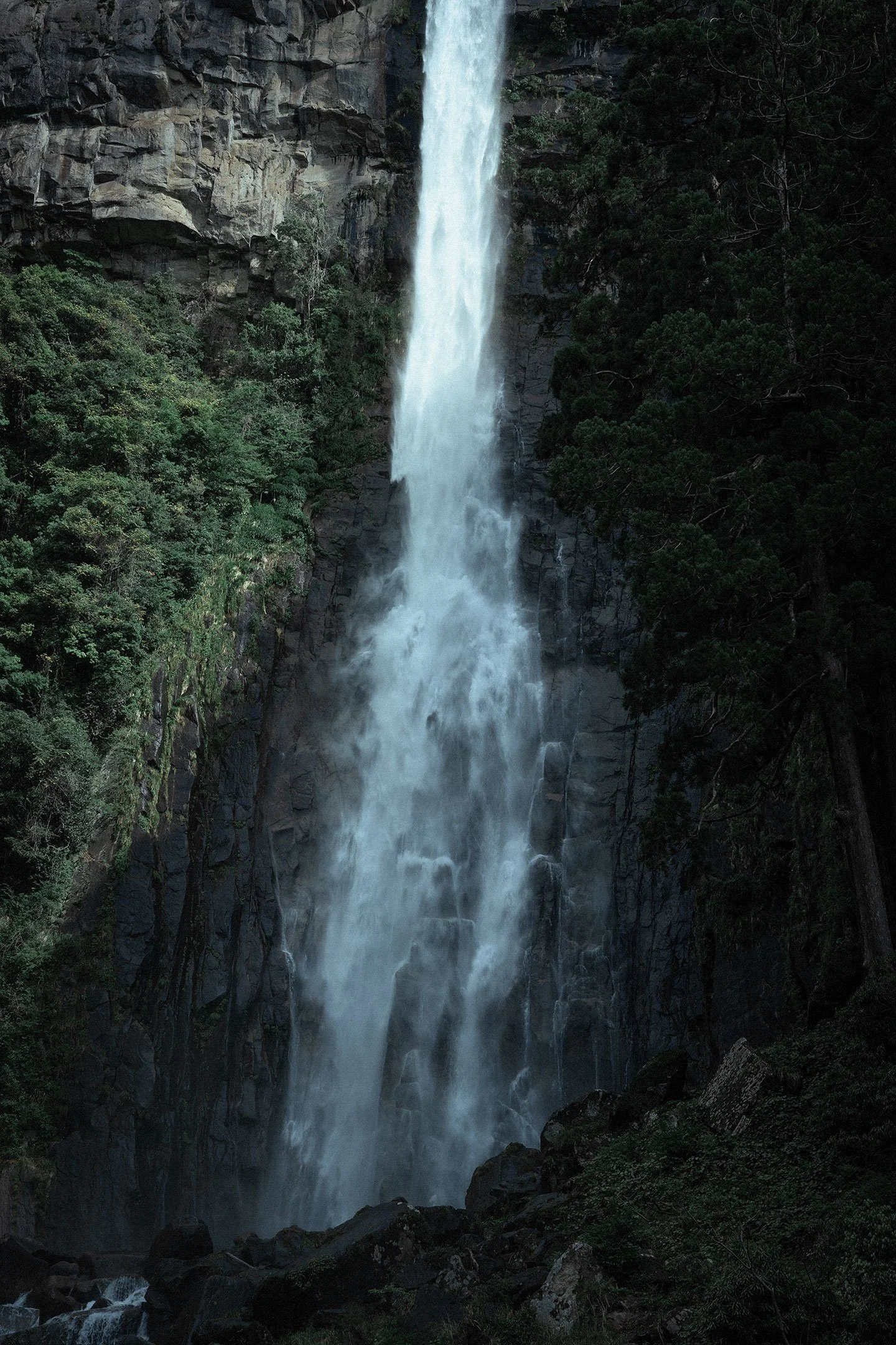 DSC06134.jpg