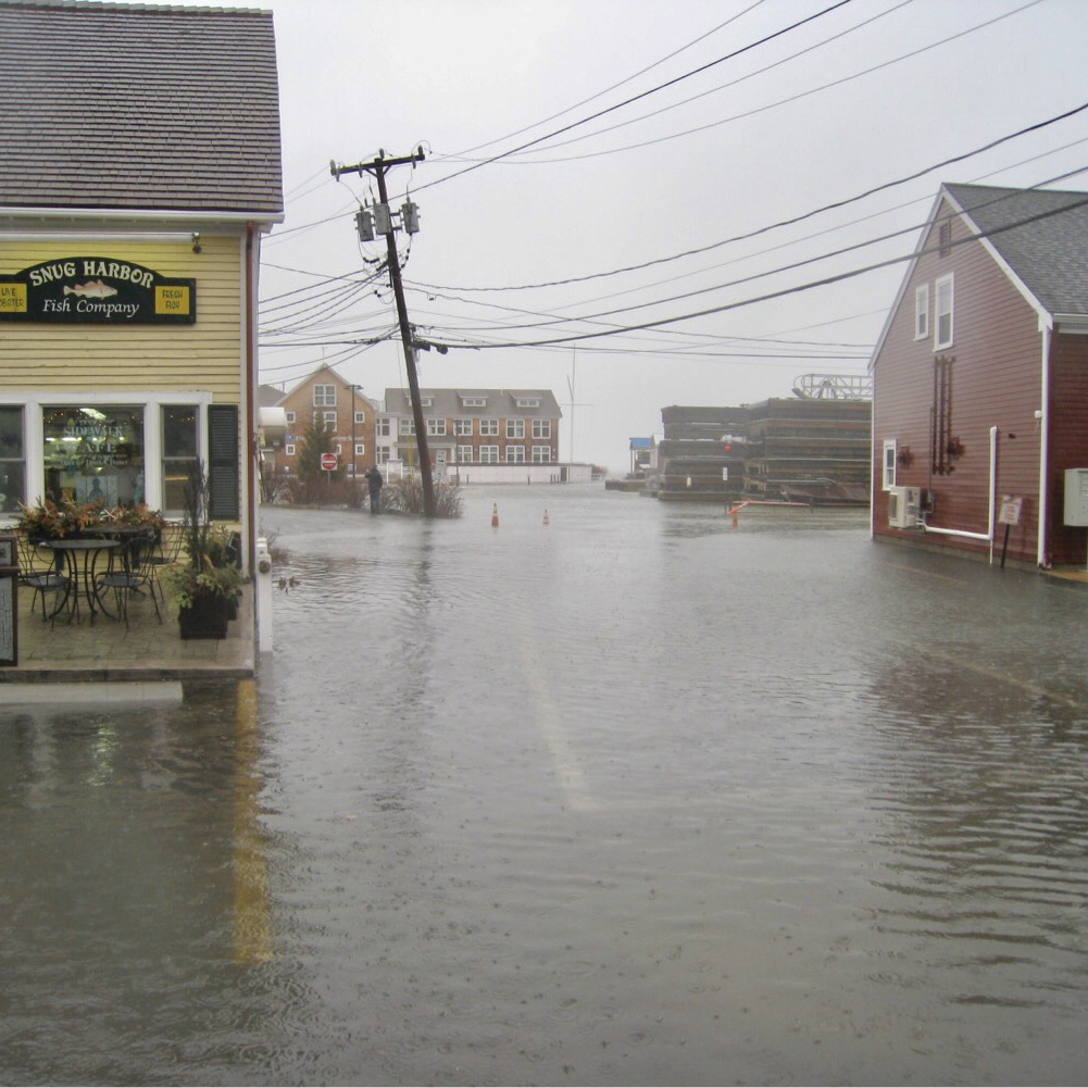 Snug Harbor, Duxbury.