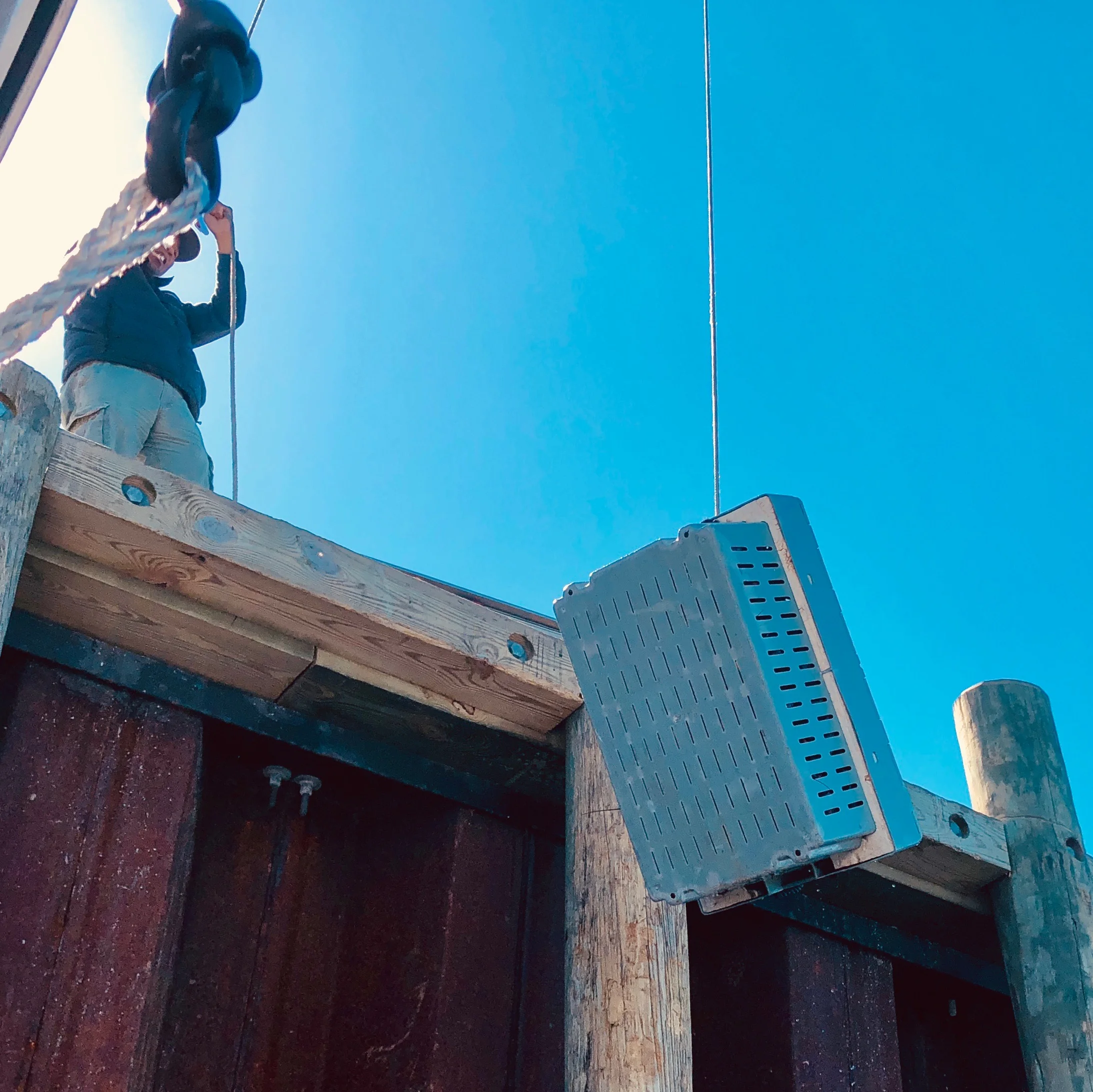 Hoisting a catch onto the pier. That's Sam (" The Chinaman" ), Doug's sole customer. Sam has a lobster pound in Hingham where he holds his quarry for distribution to Boston, New York City, and the Far East.
