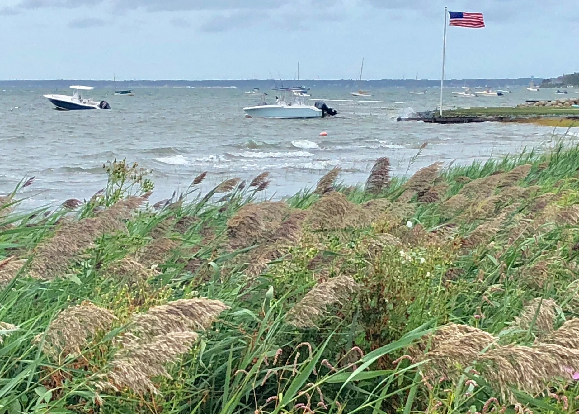 091018 gale3.jpg