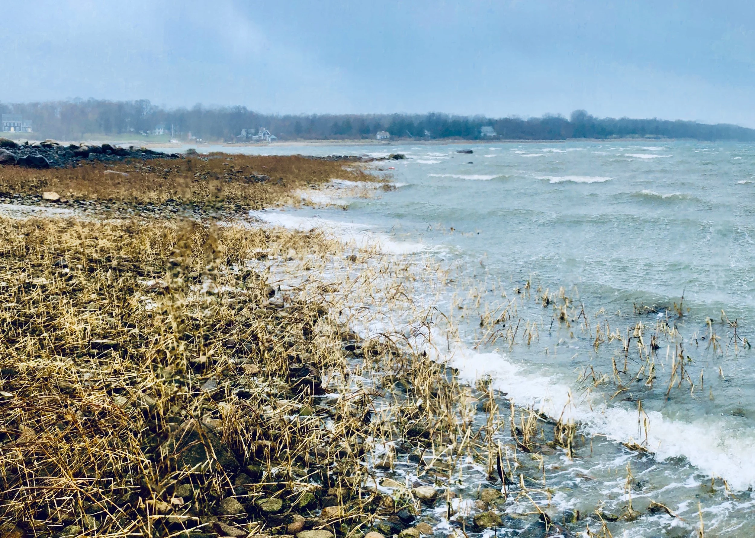 From the shore of the Saquish lease looking west toward Clark’s Island.