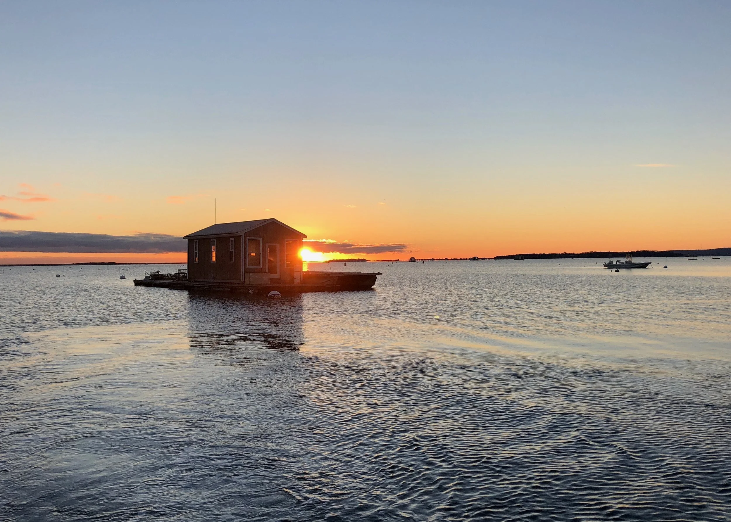 6:45am from the skiff. The Oysterplex will be pulled from the Bay early December.