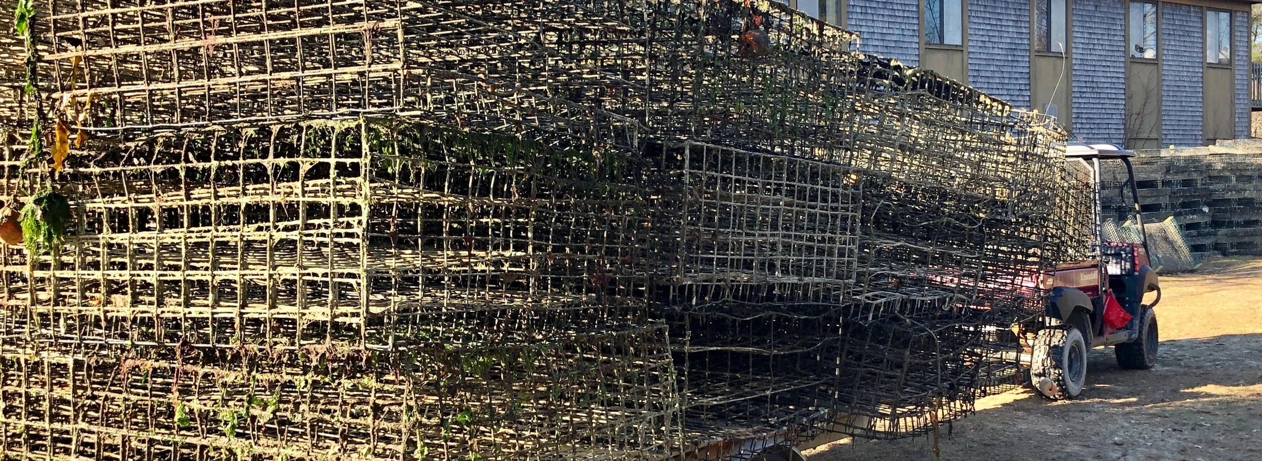 122118 trays.jpg