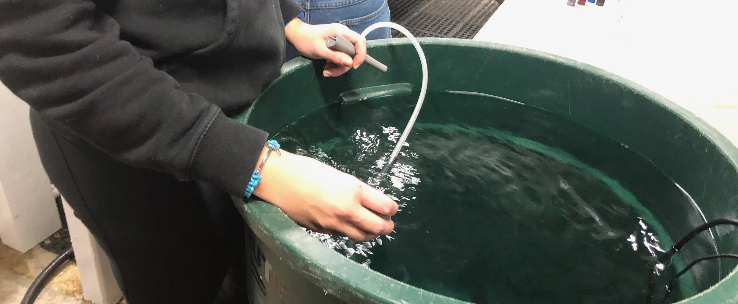 021619 tempingwater.jpg