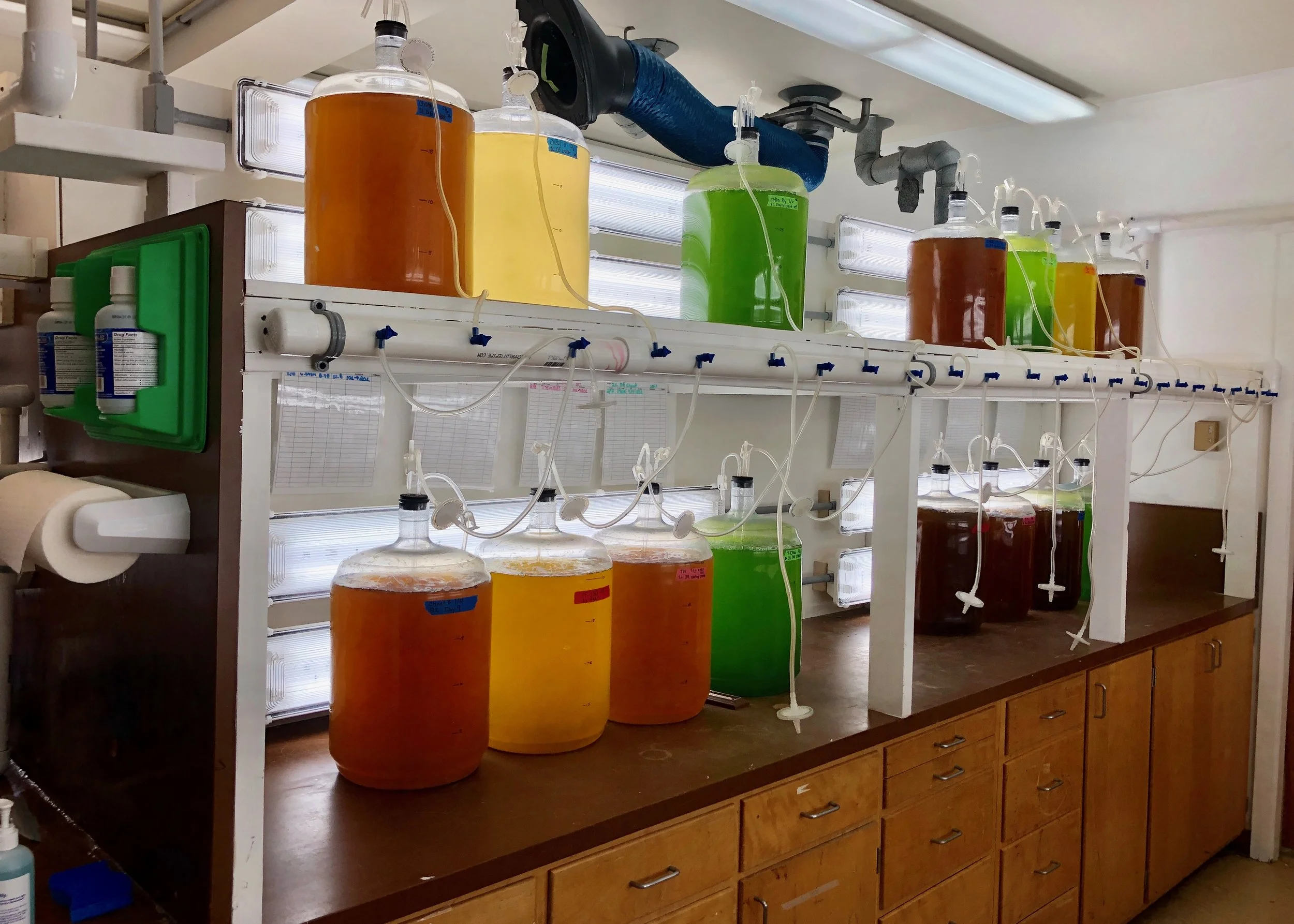 020919 carboys.jpg