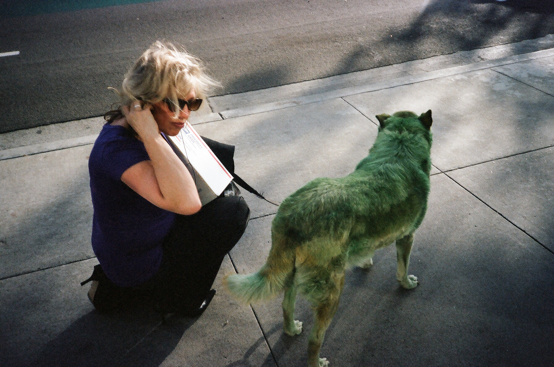 Green Dog Long Beach