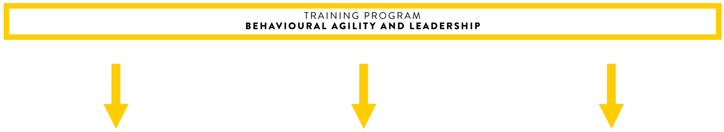 Bloc-fleche-jauneENG.png