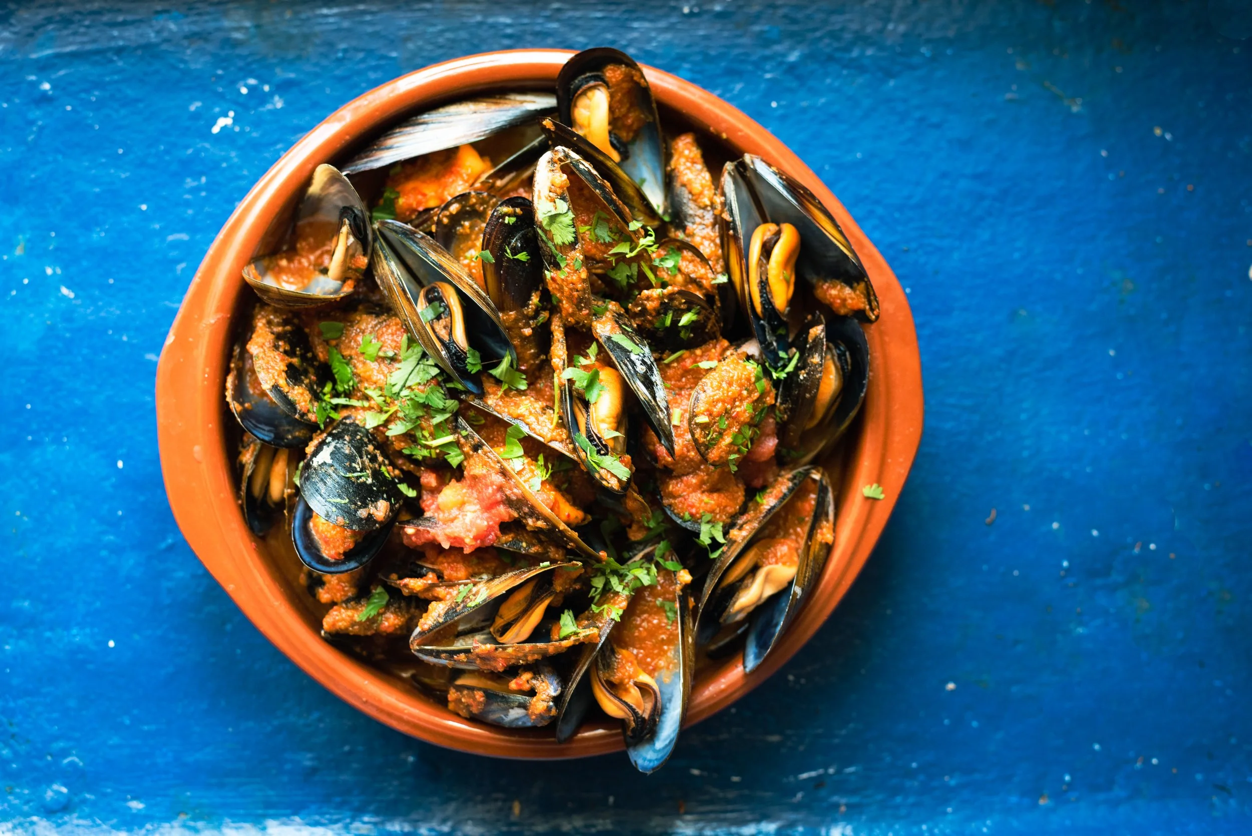 SPANISH SEAFOOD COOKERY 