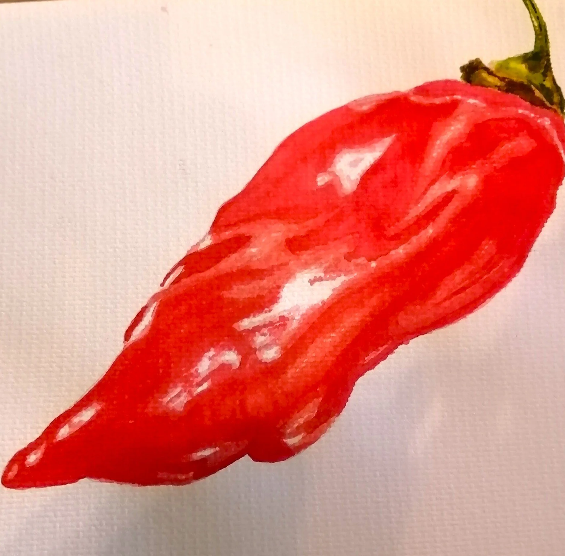 a watercolour painting of a shiny red scorpion chili