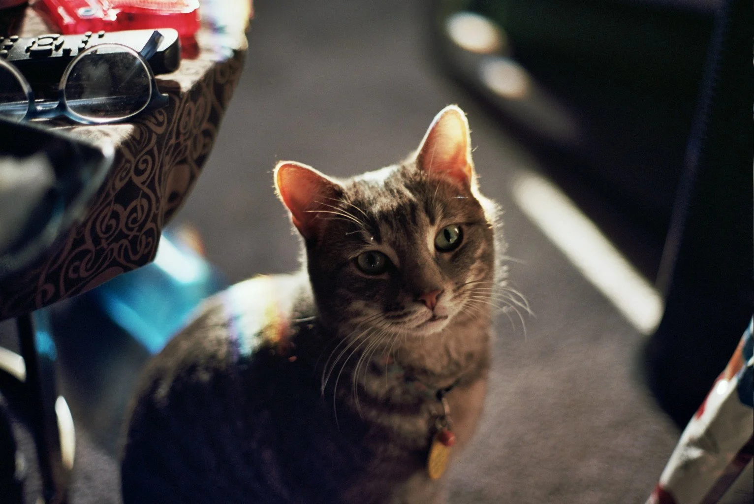 Copy of __3_0231.jpg