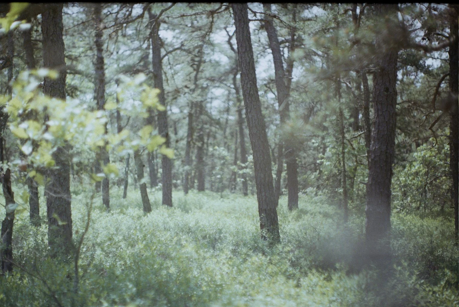 Copy of __6_0580.jpg