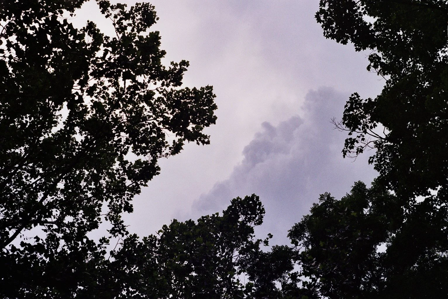 Copy of _18_1864.jpg