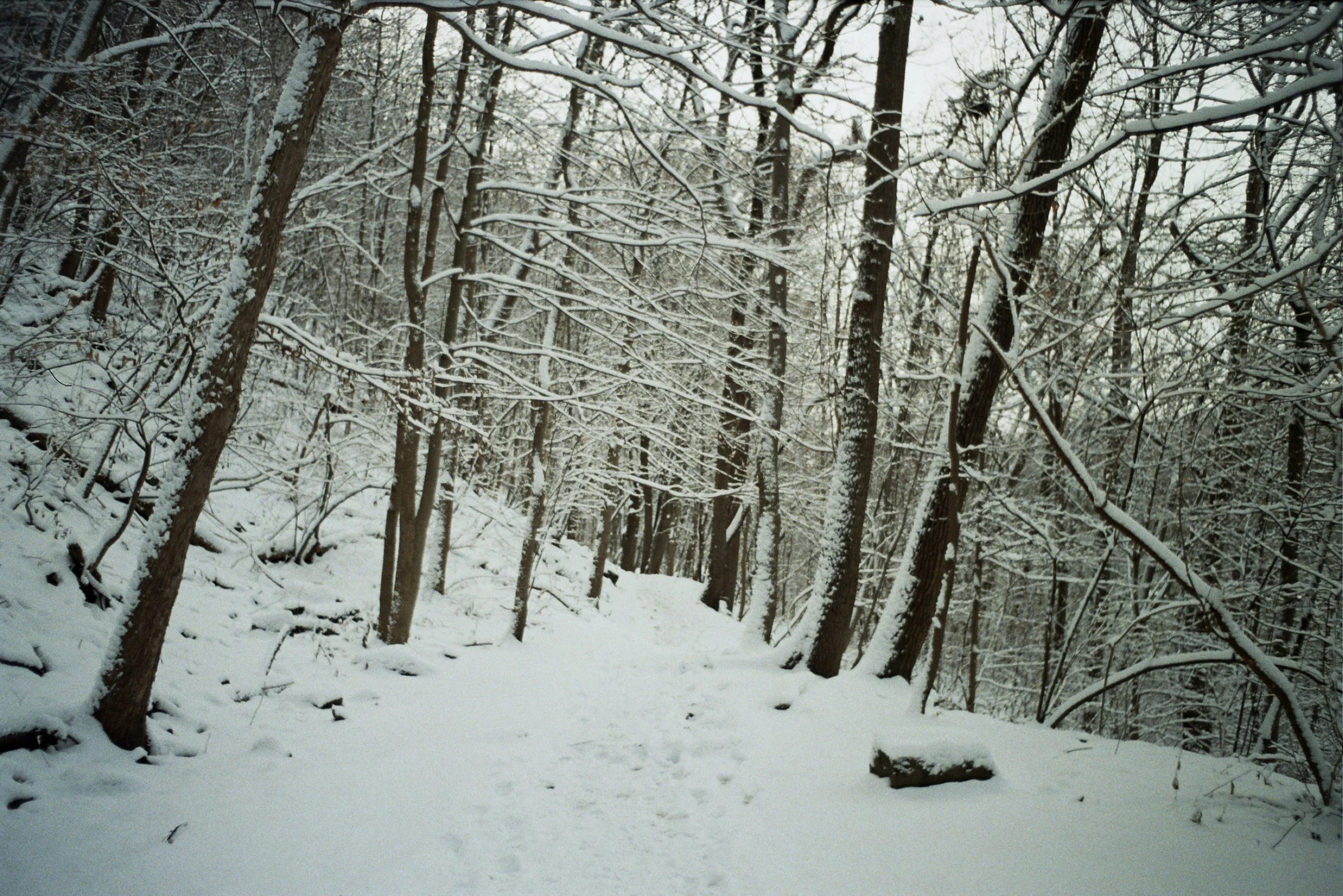 Copy of _19_0804.jpg